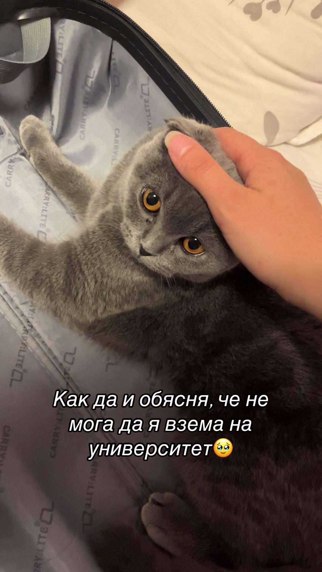 @Яси М