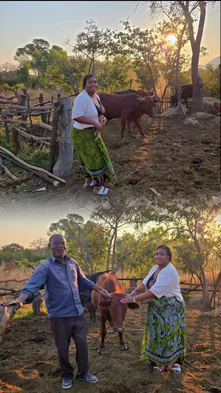 @Loyal  🐘 🇿🇼