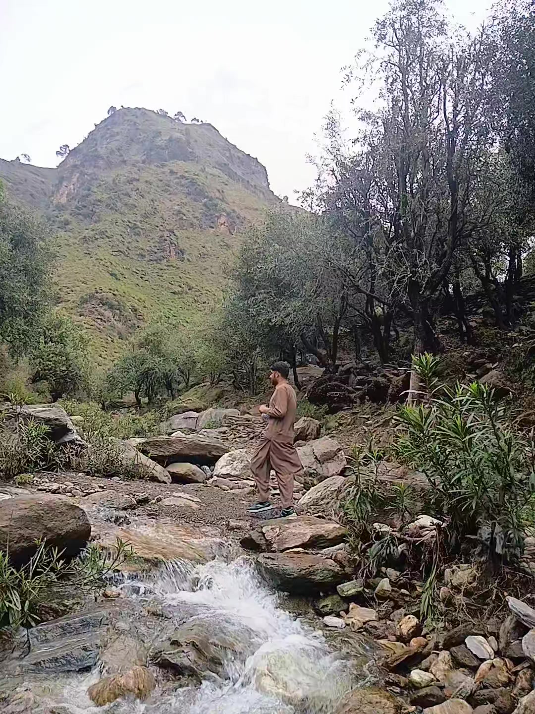 @🌲 sange_marjan ⛰️