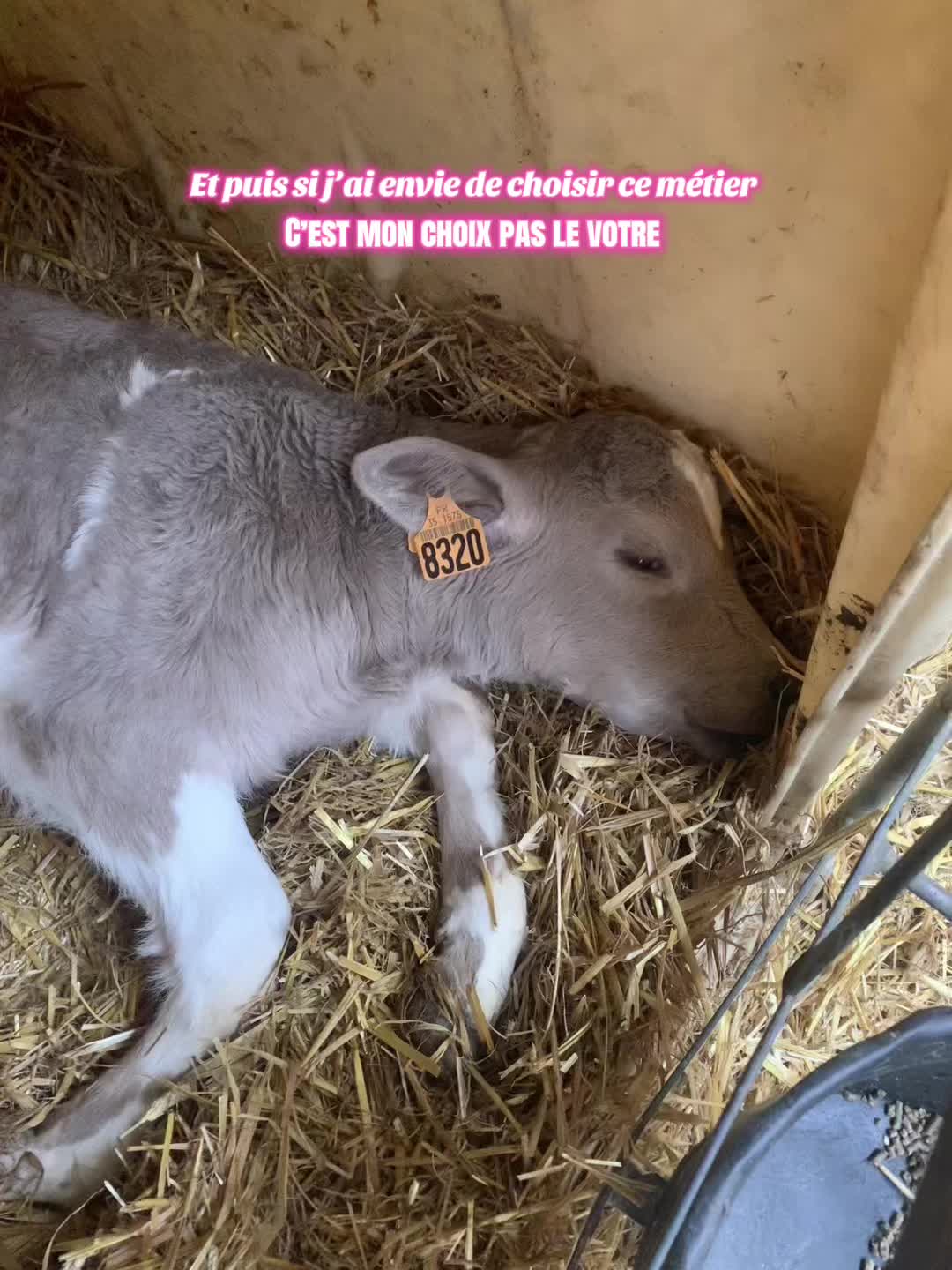 @nadiya🐮