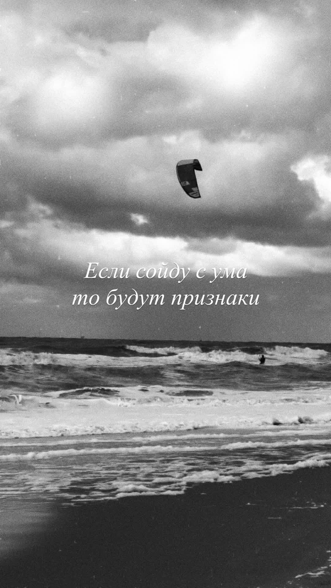@SchelQ