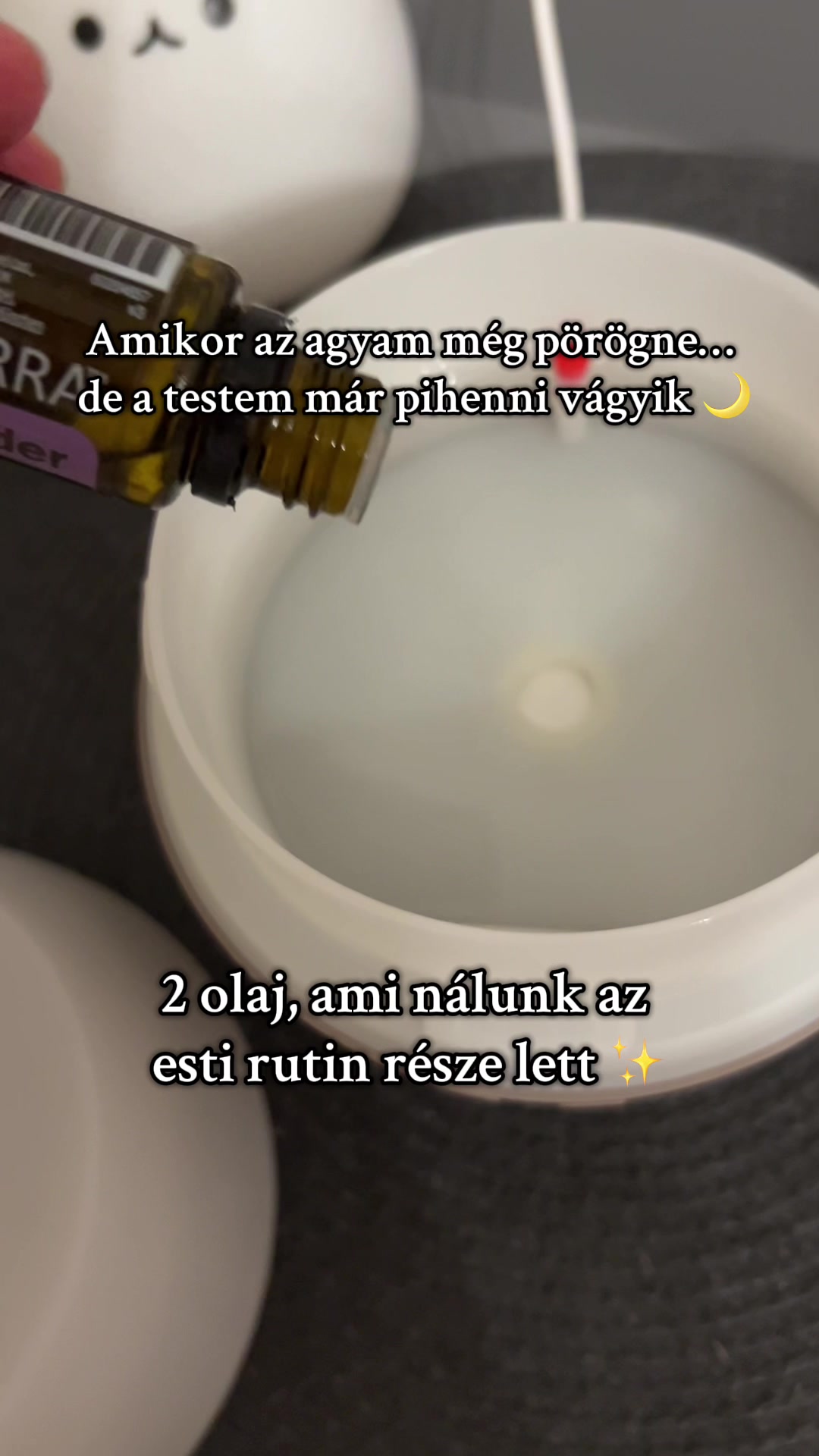 @TerraKert | Ha&aacute;sz-Brandt Di&aacute;na