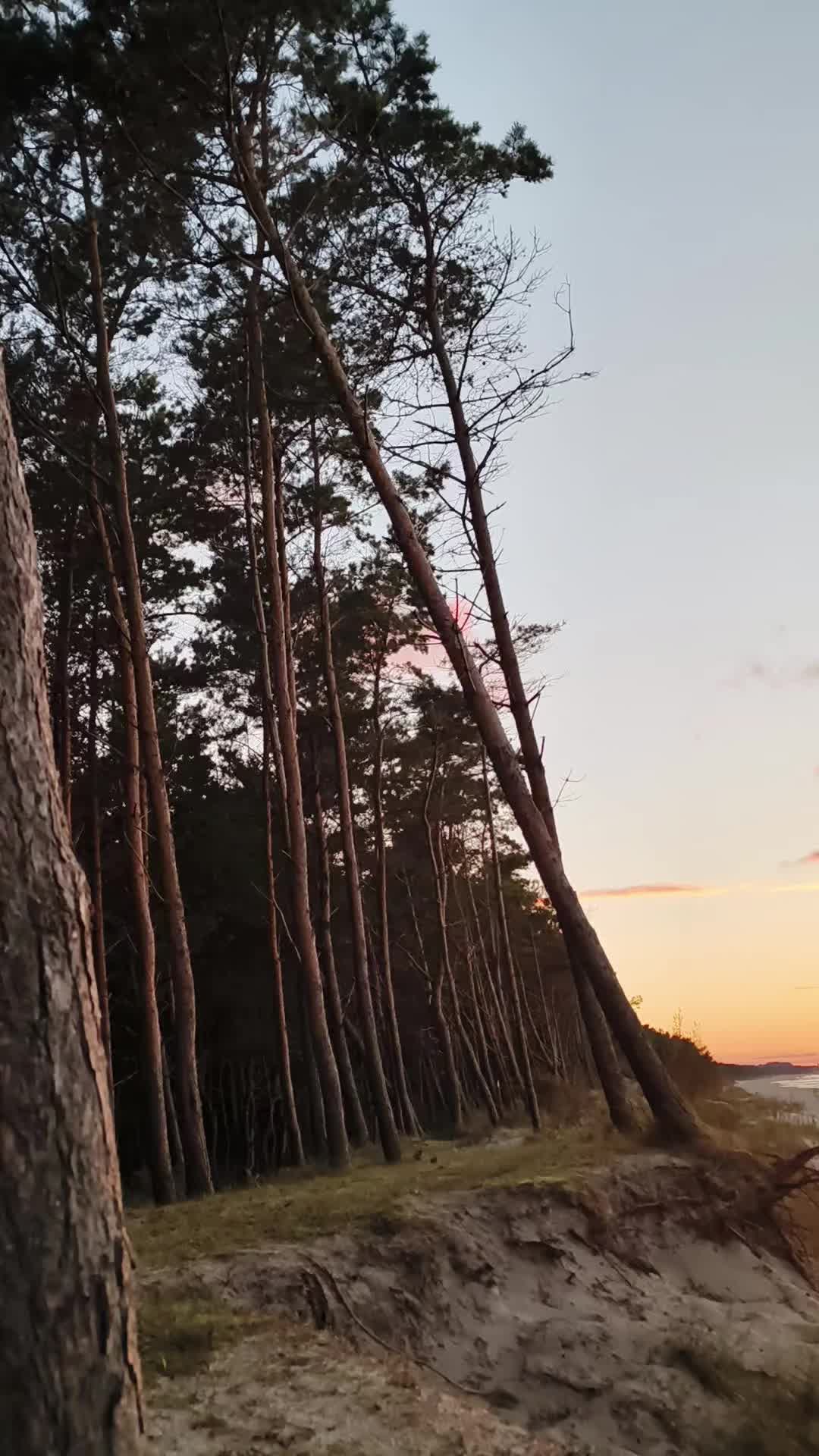 @Paweł