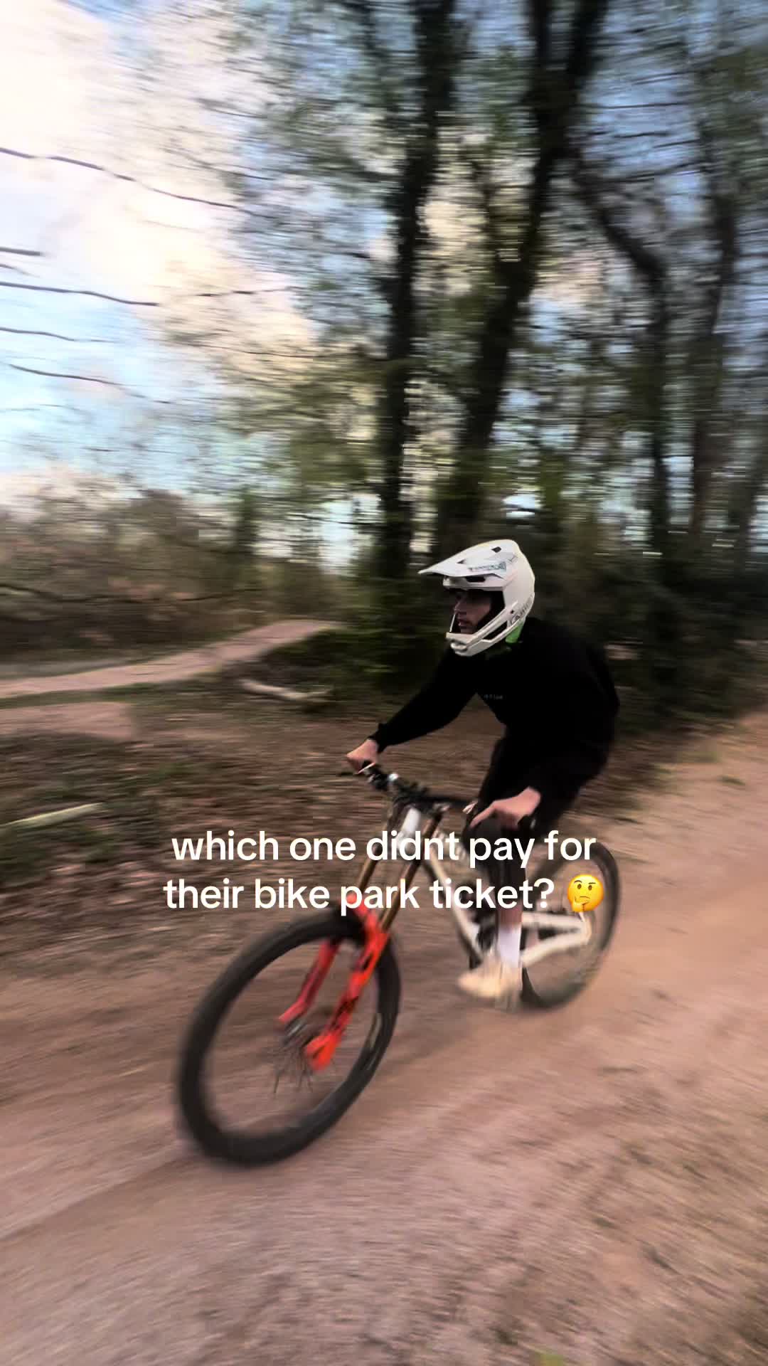 @tobyy🌲