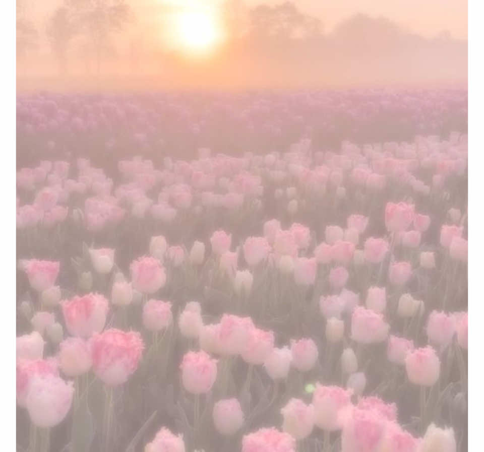 @𝒾𝓏𝓏𝓎🪽