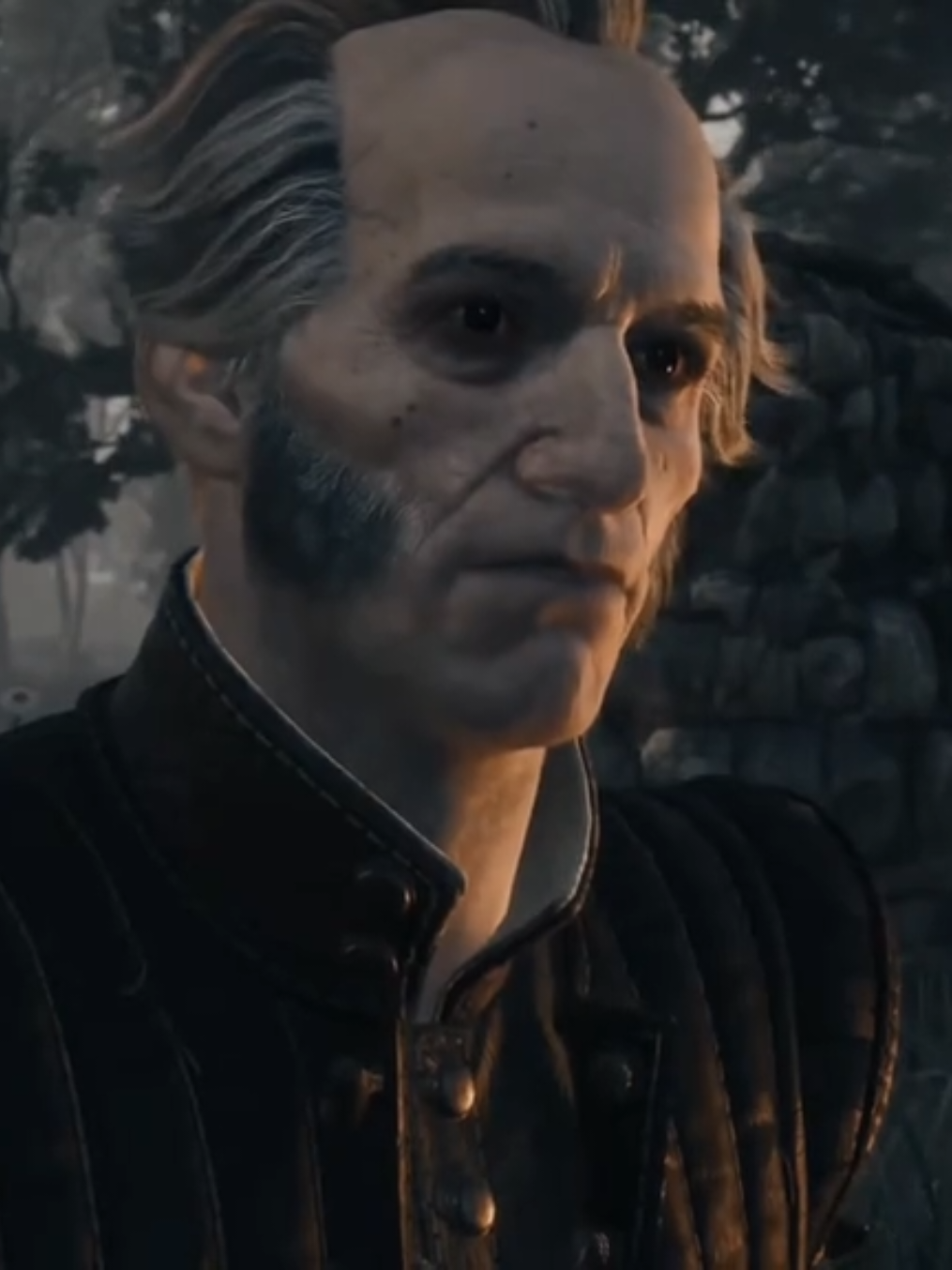 @The Witcher