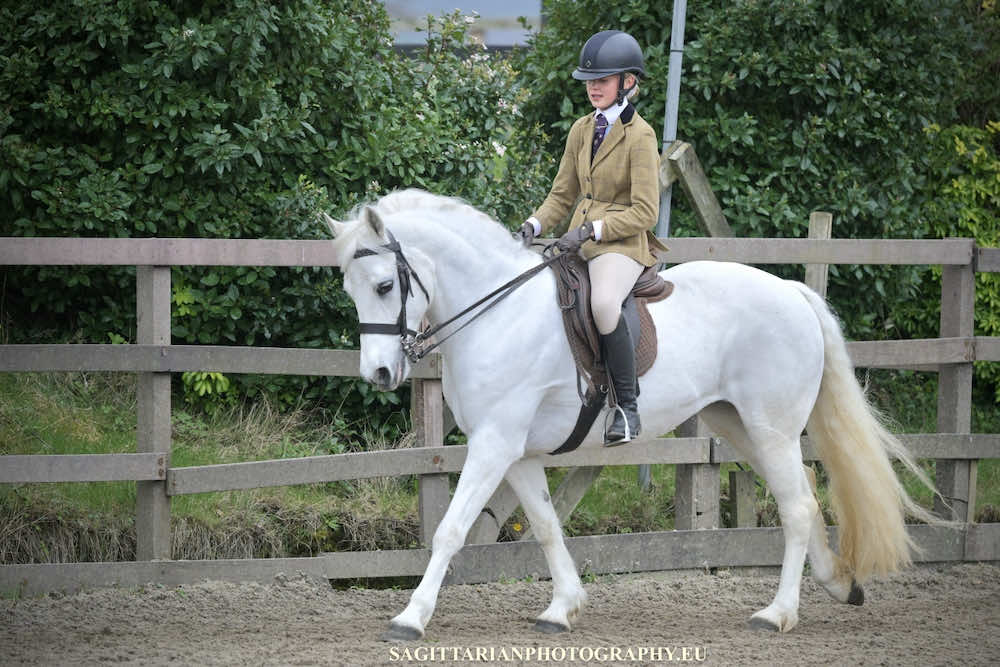 @Aoife haines eventing