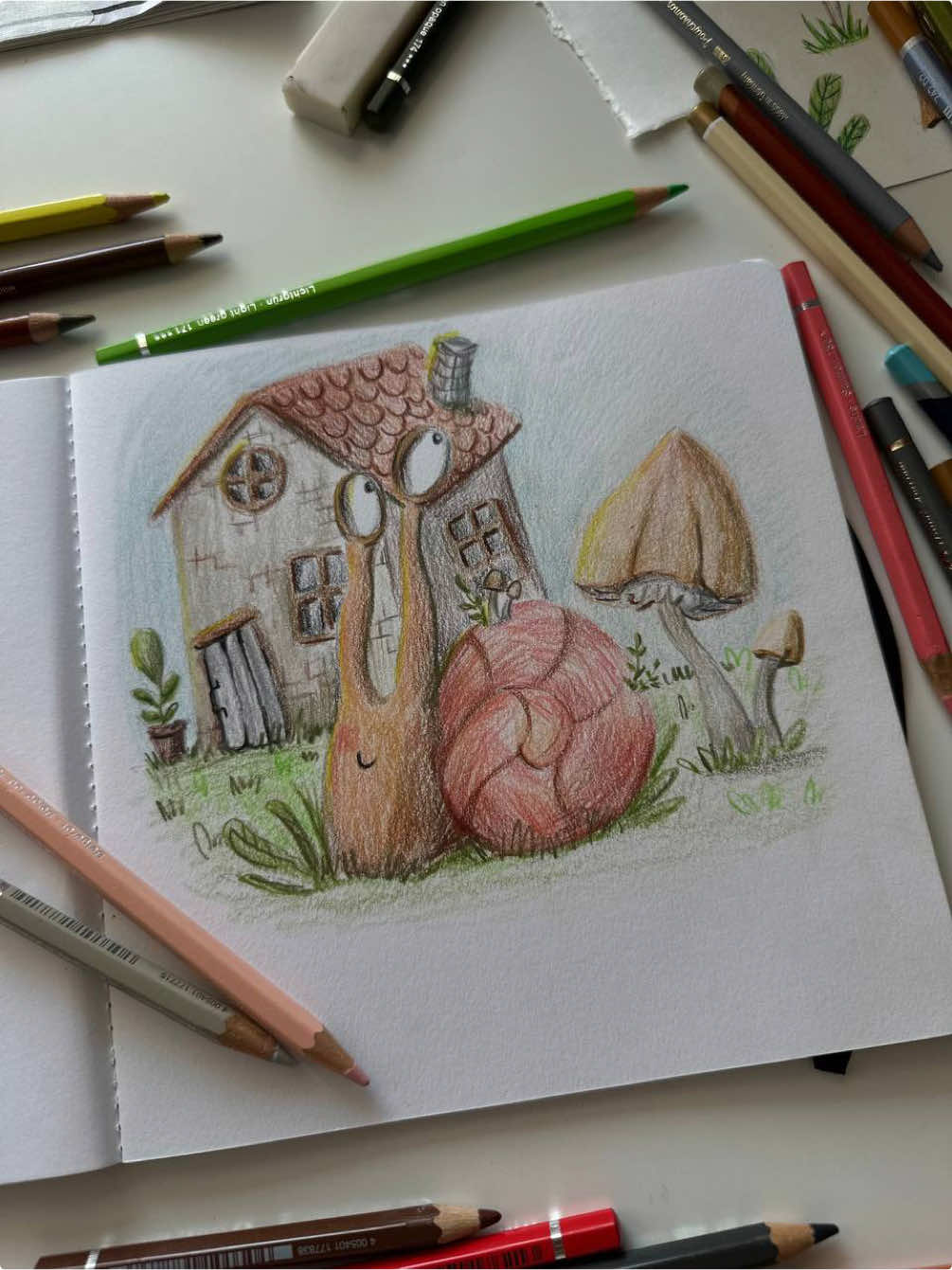 @illustrator_picturebooks