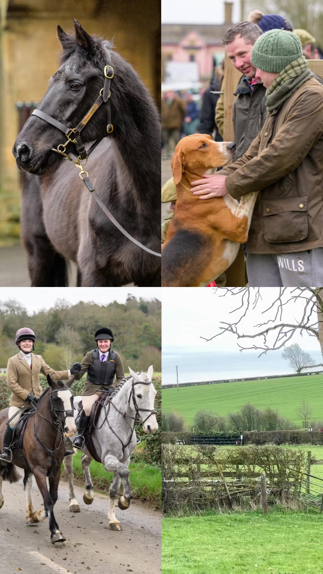 @Nico Morgan | Equine Media