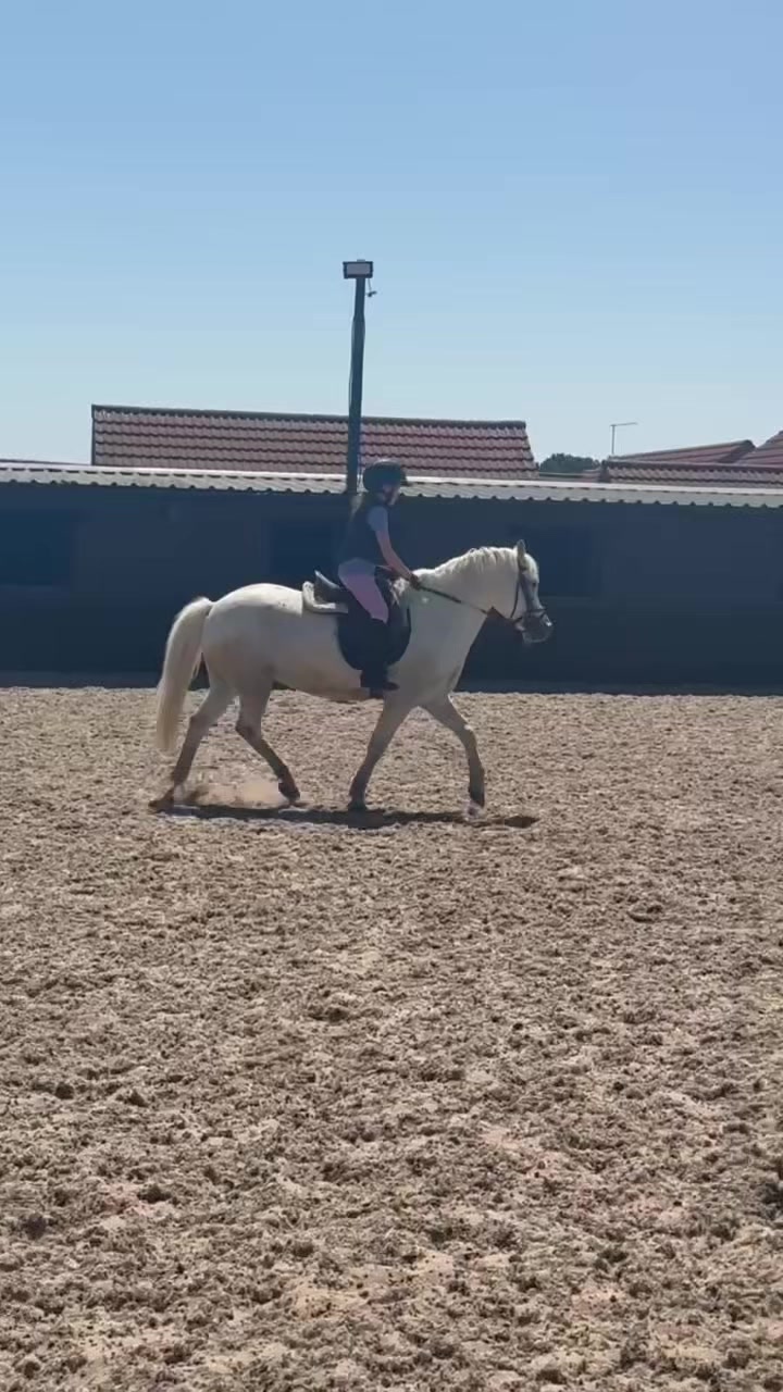 @LottiesHorseAdventures🦄🐴