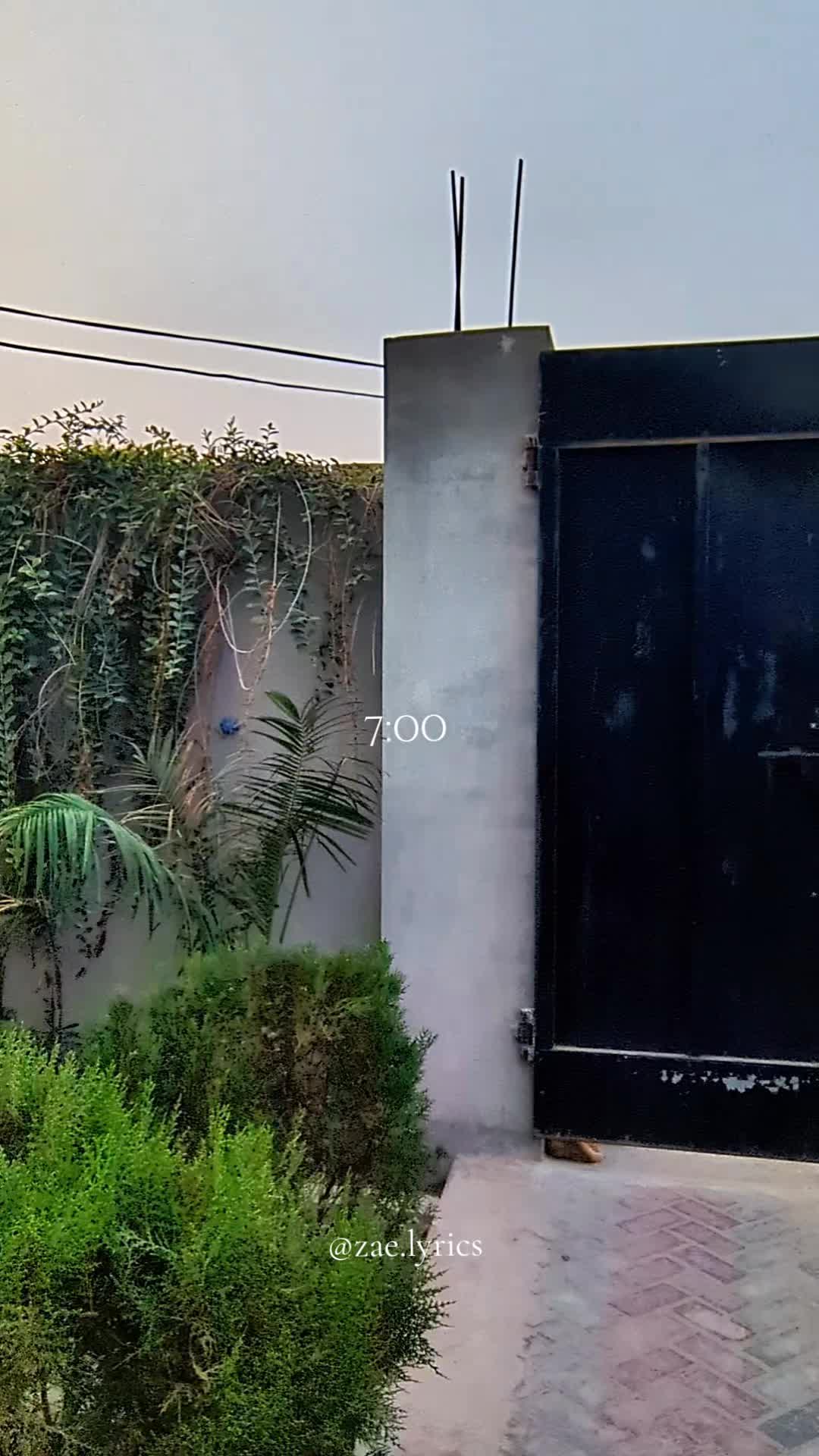 @𝙕𝙖𝙚 𝙇𝙮𝙧𝙞𝙘𝙨