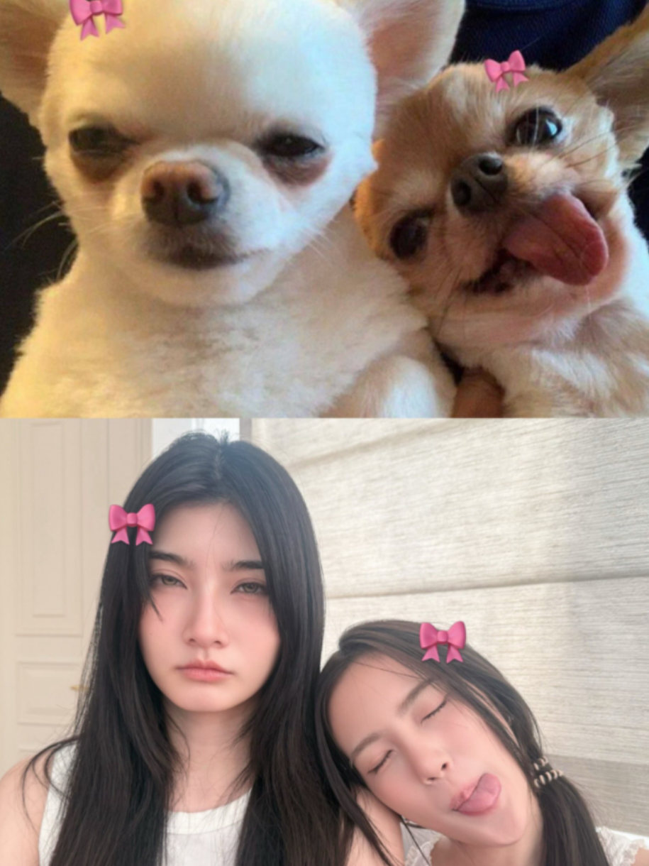 @Mable Updates