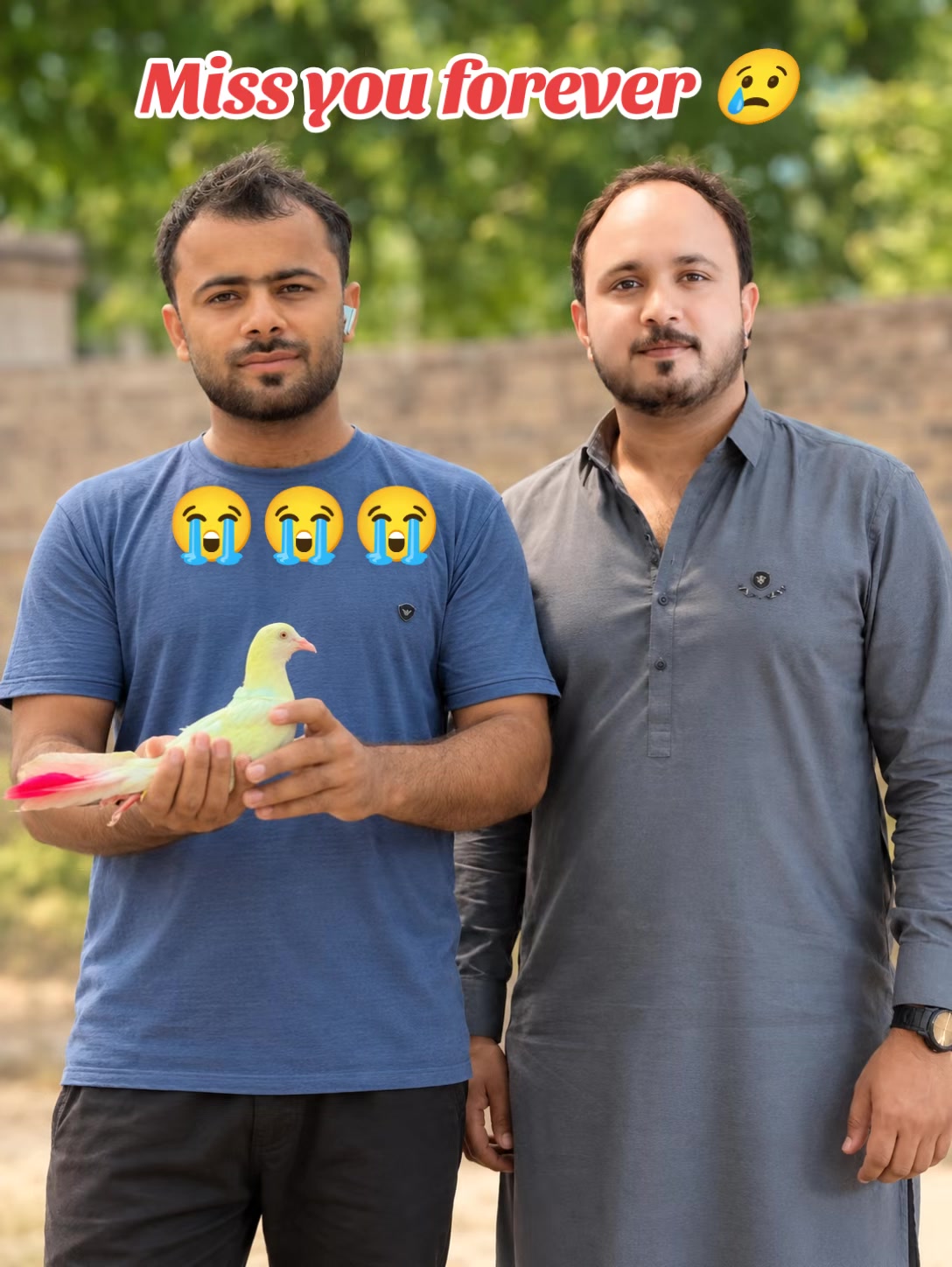@پراچہ کبوتر کلب💪💪