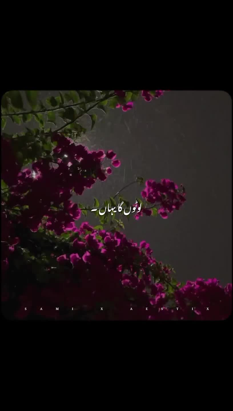 @𝙎𝘼𝙈𝙄 𝙓 𝘼𝙀𝙎𝙏𝙄𝙓 🎧