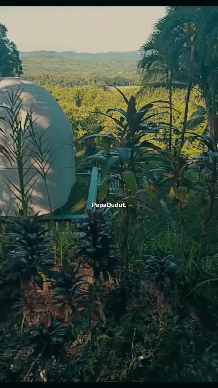 @skywalker7