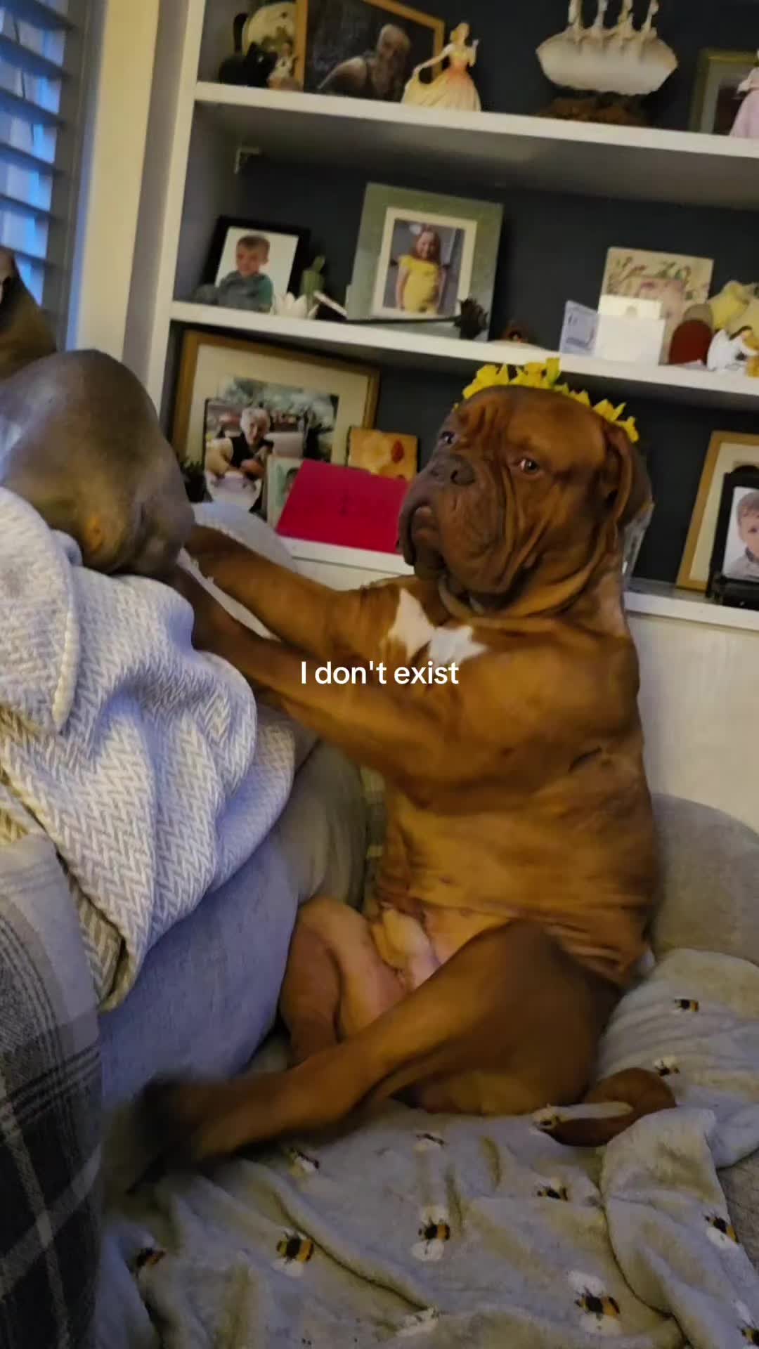 @Debbieryan