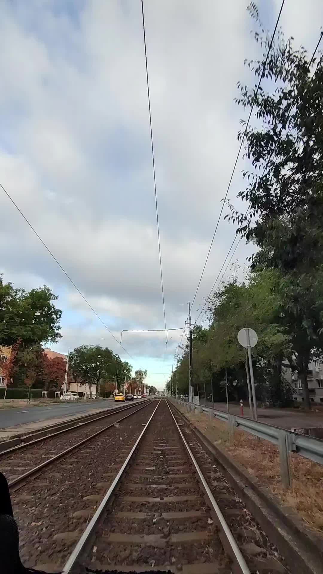 @Zsolte