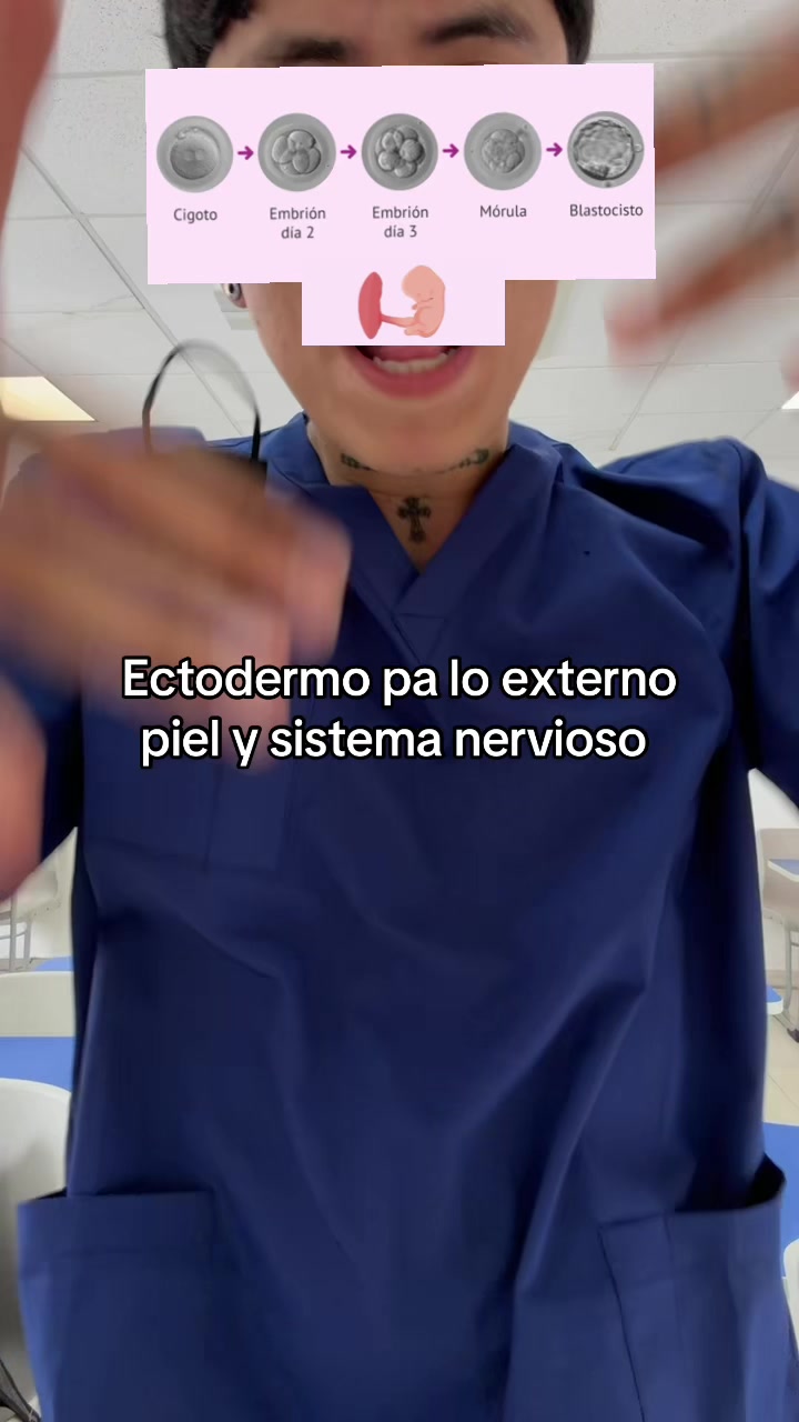@ENDOBOY