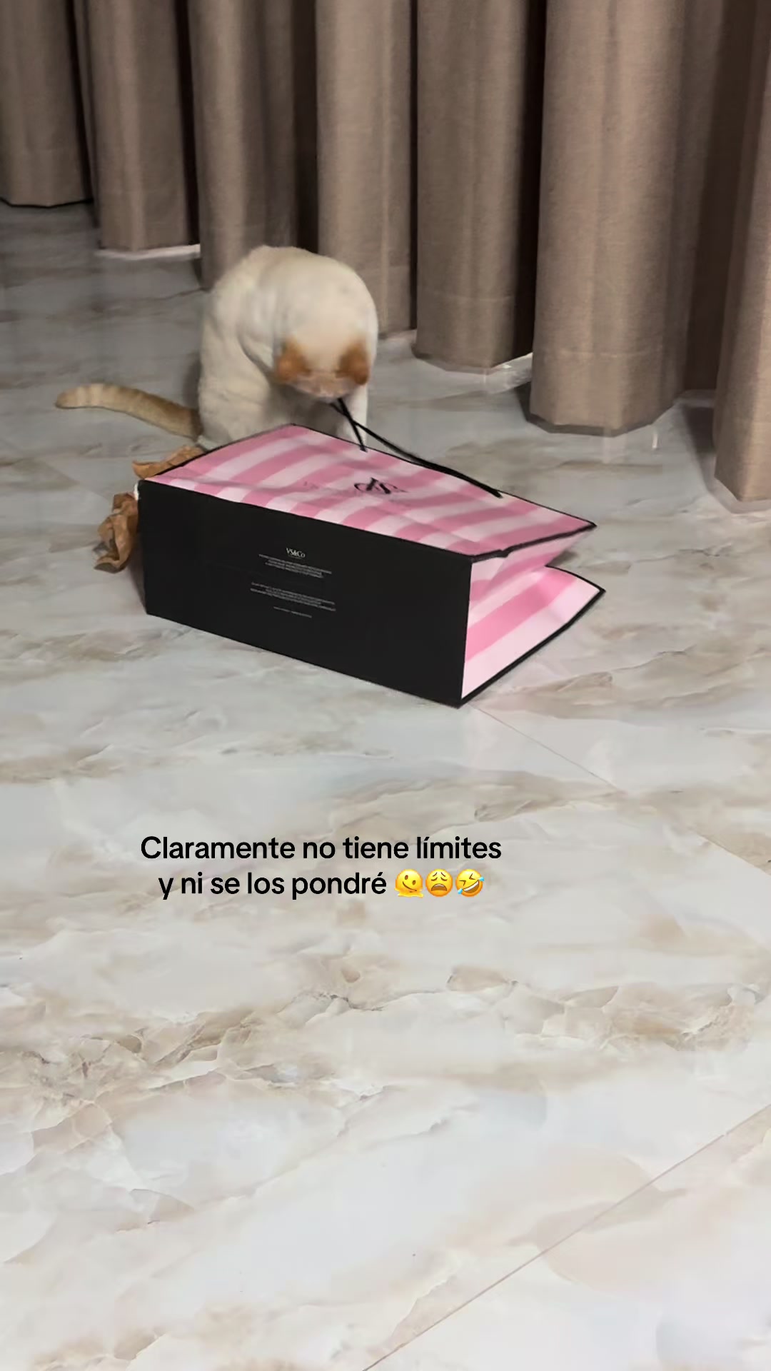 @Lau.R2