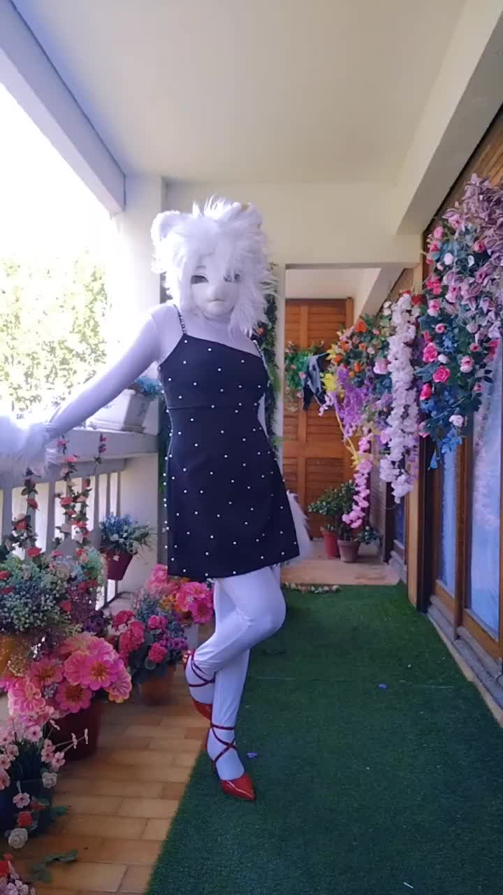 @SnowCat