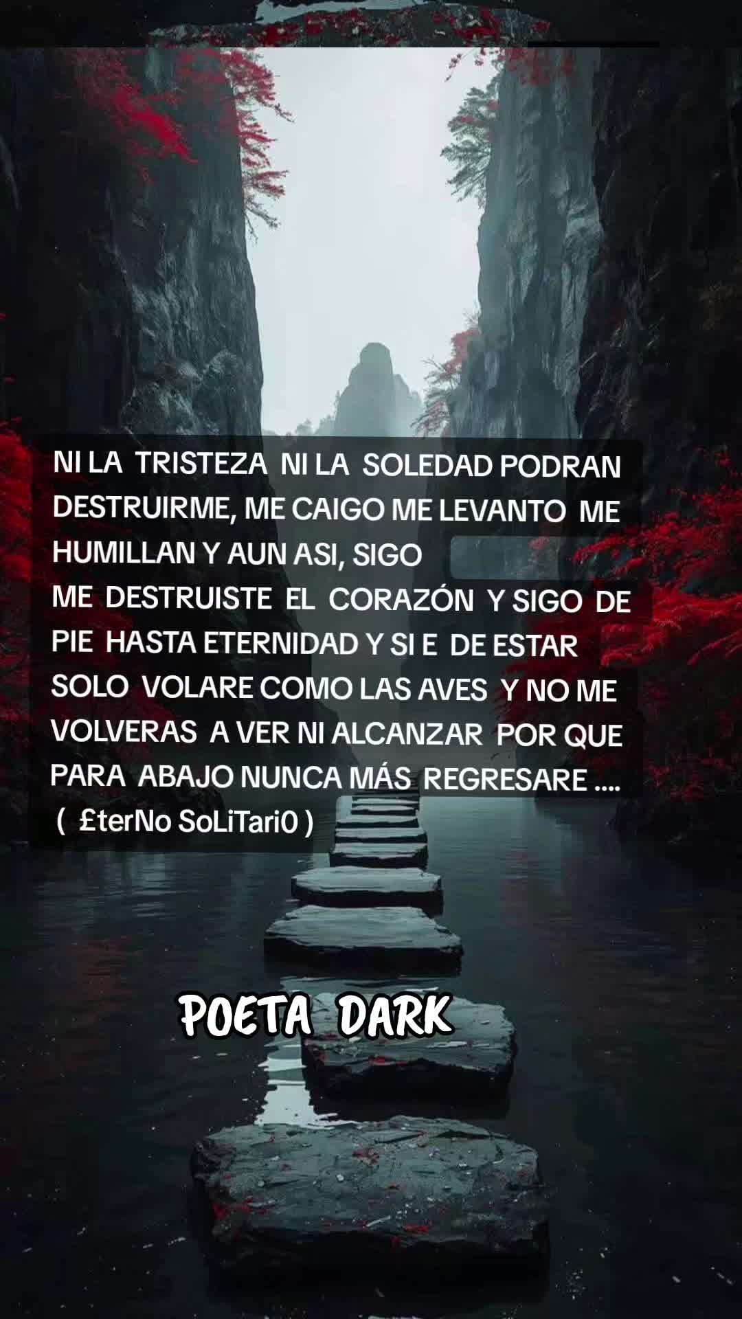 @POETA DARK