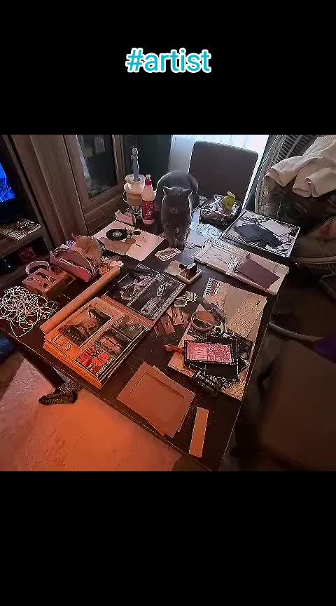 @bluemoonthecat