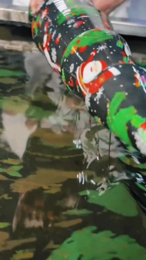 @Asma Bano