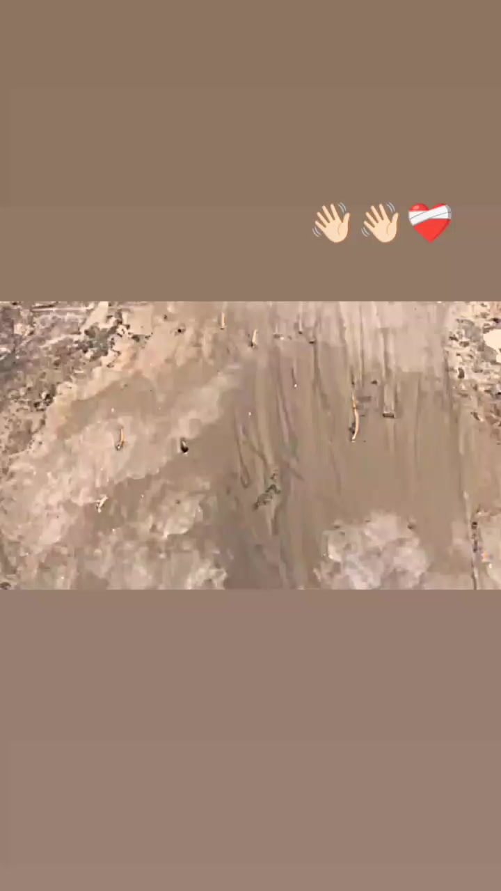 @ولد _عيت_ الشاوش ❤️🔥