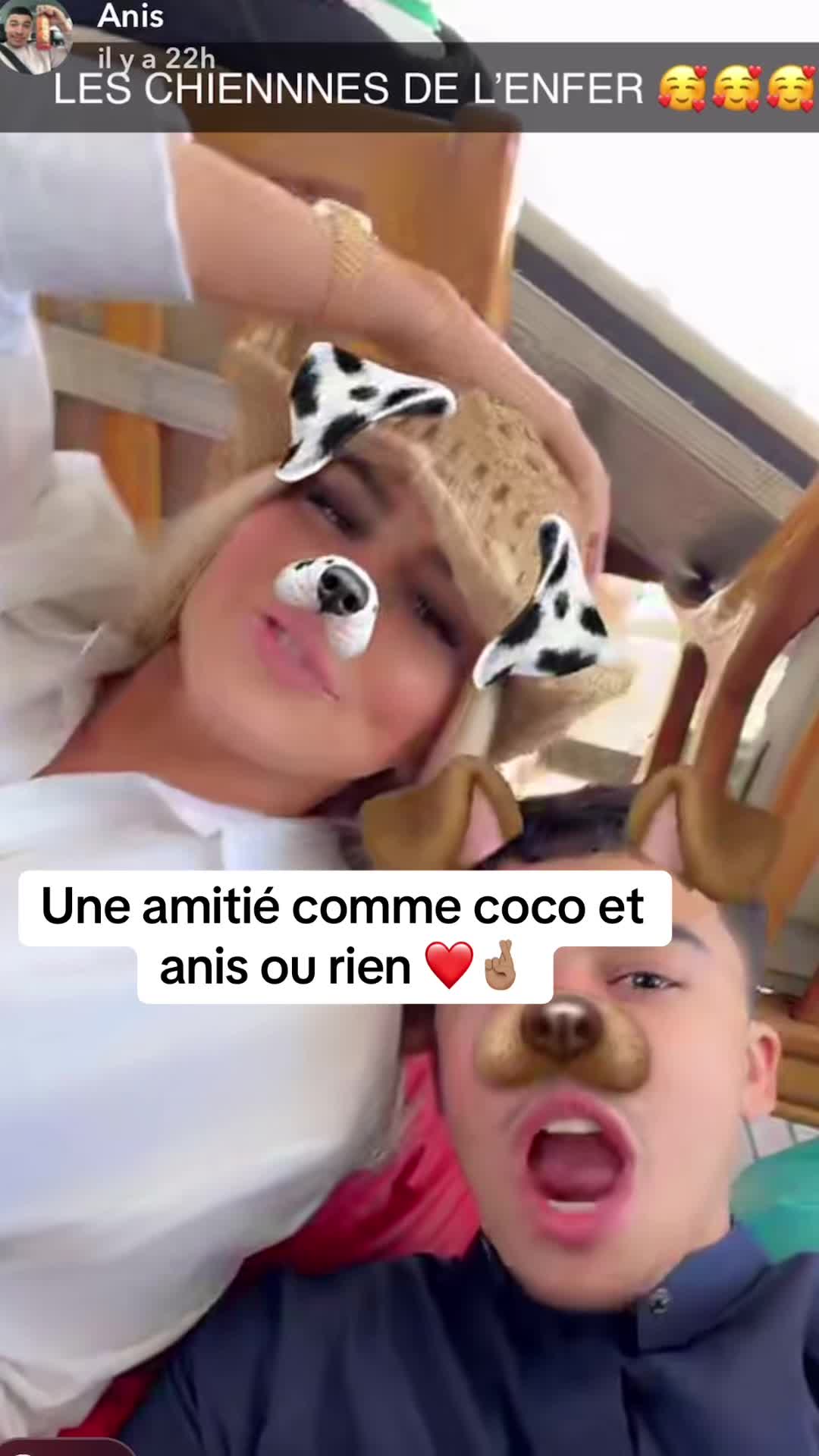 @Lachienneté rediff 🦅📽️
