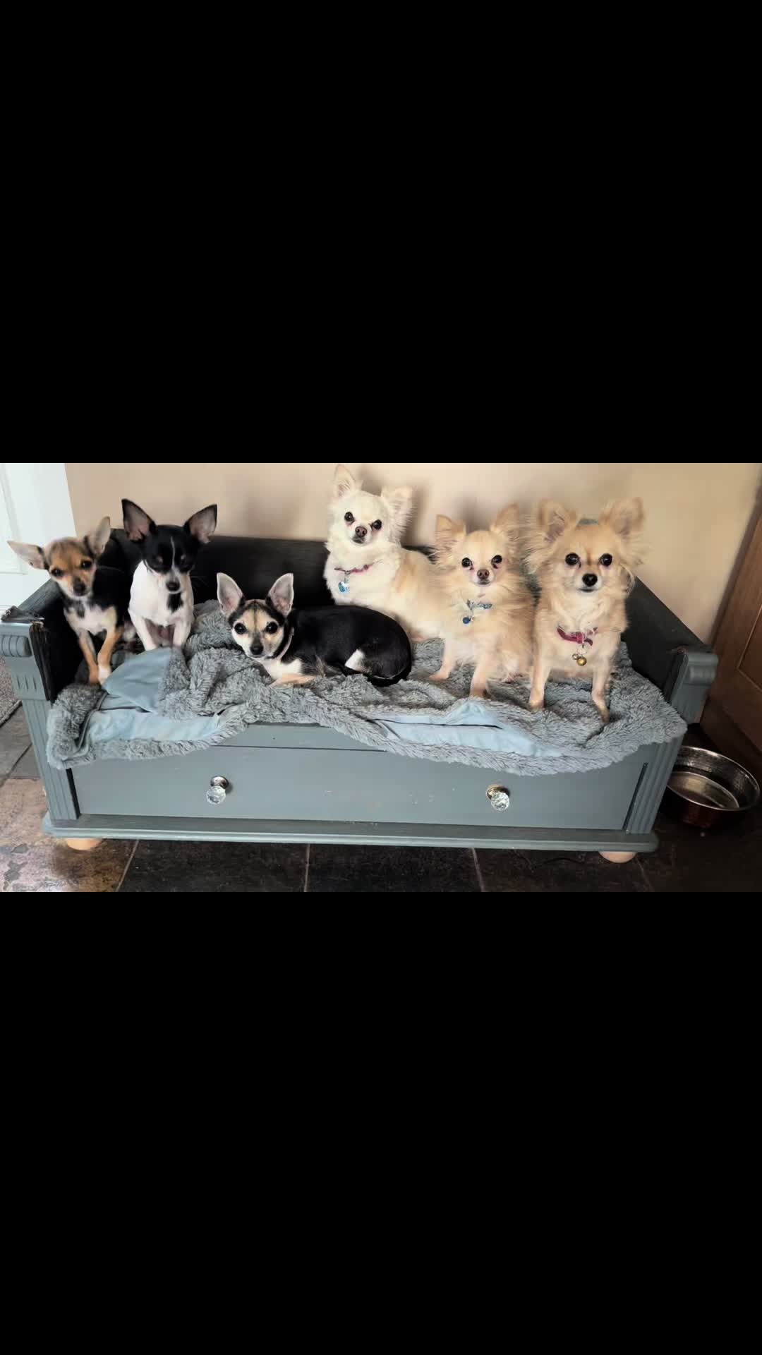 @Coldfeet-Huskies-Kaz