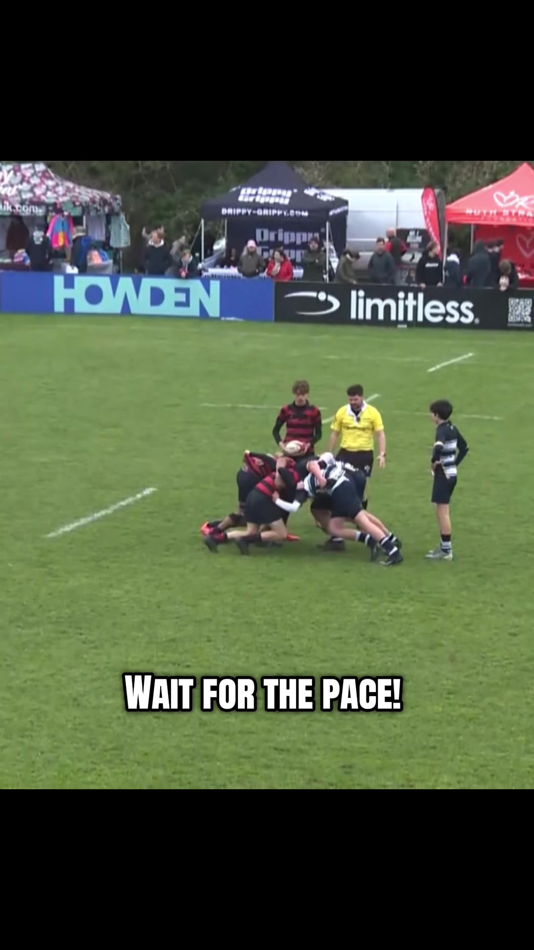 @young_rugby