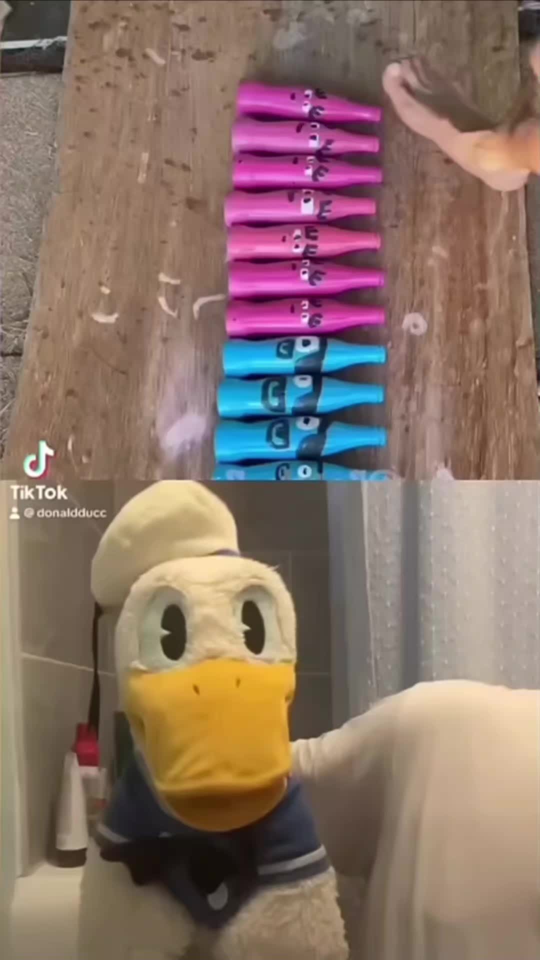 @DonaldDucc 🦆