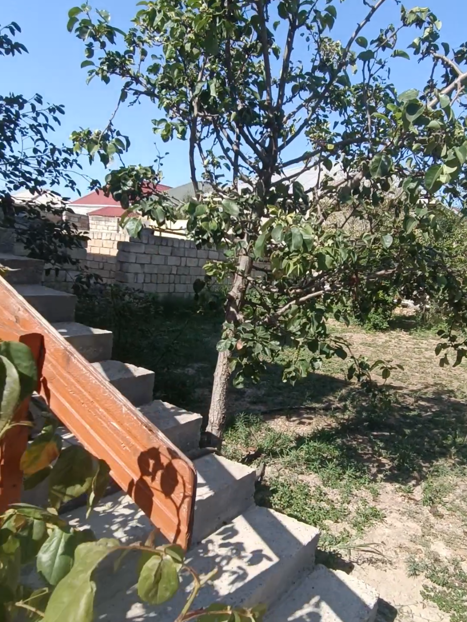 @Dəniz əmlak