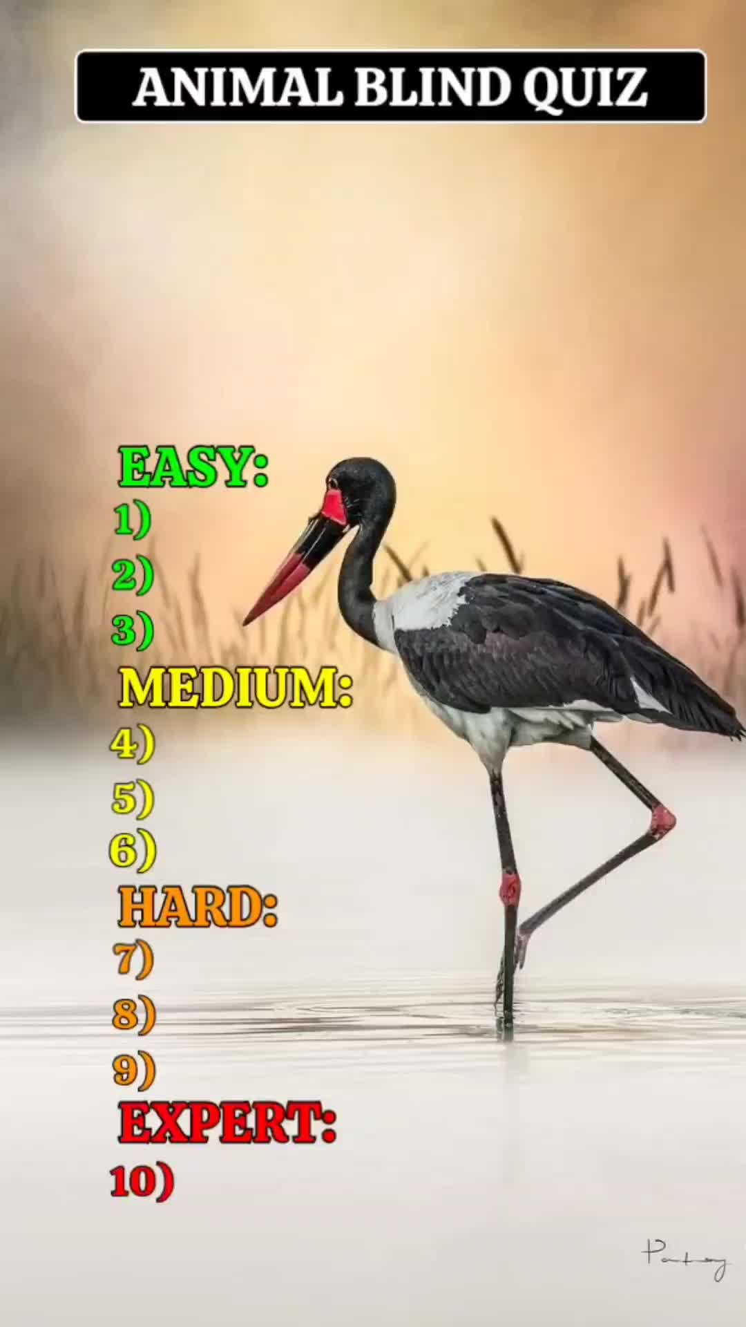 @worldtips