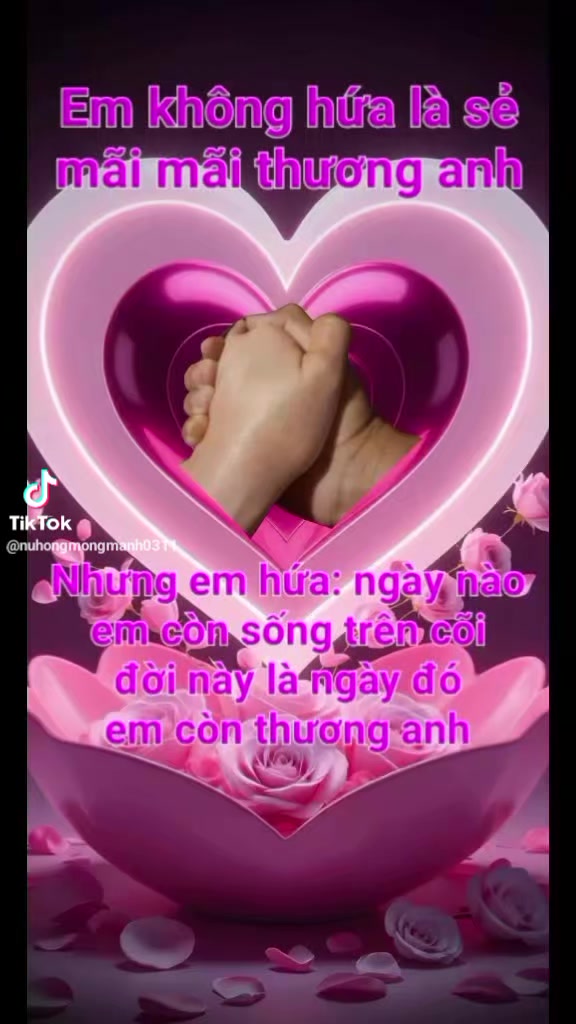 @Mr Linh