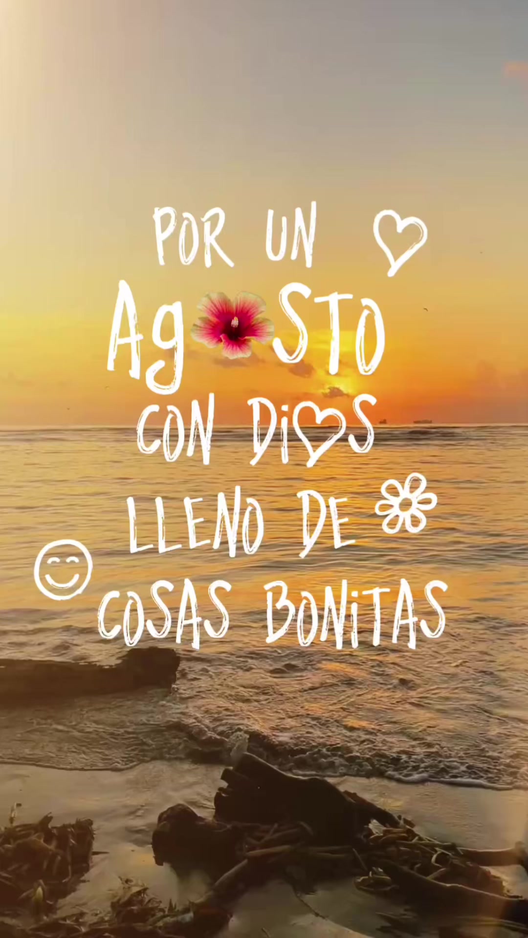 @Xoloyoxi Luna 🌙
