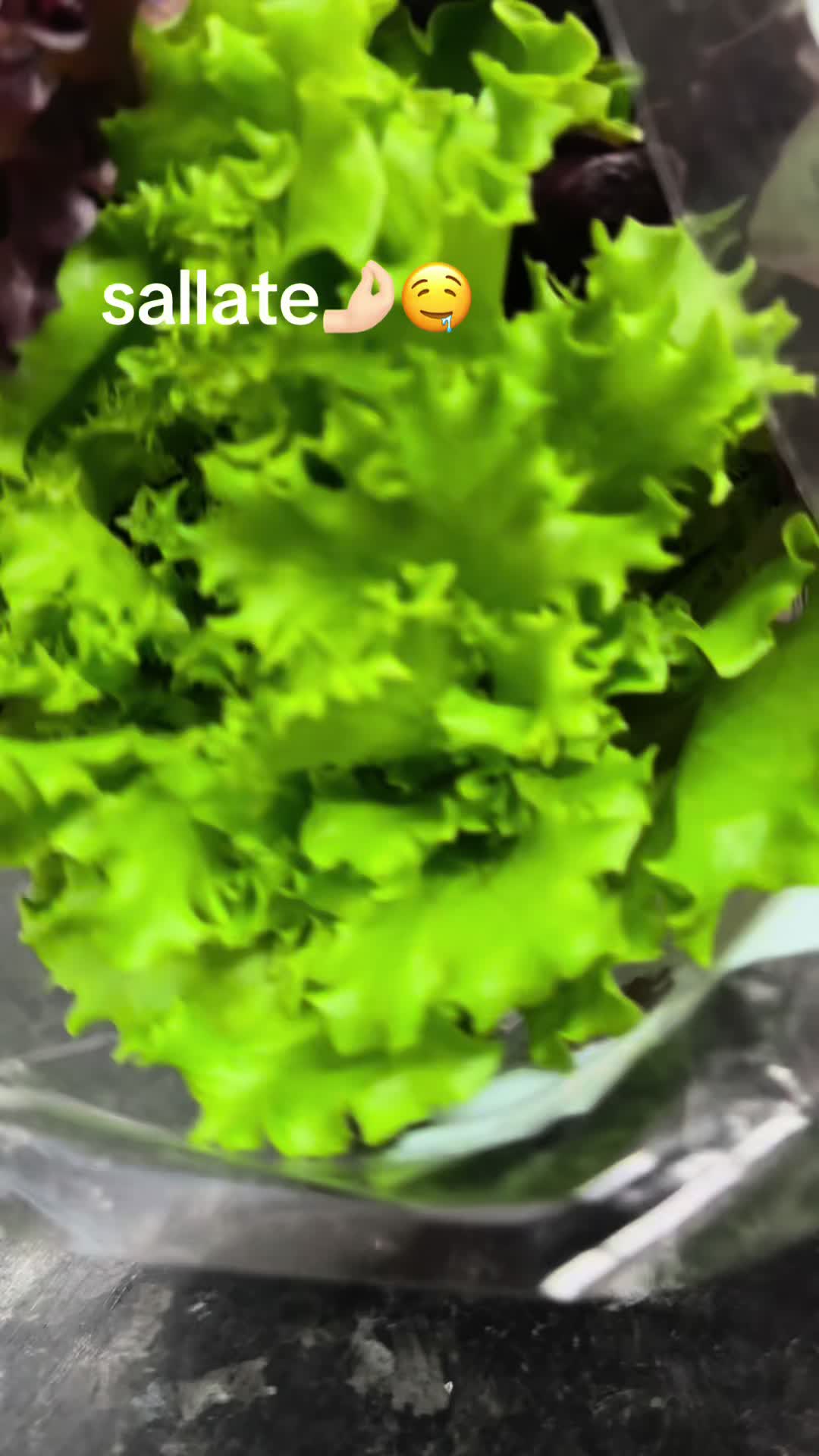 @GatimeTeShijshme