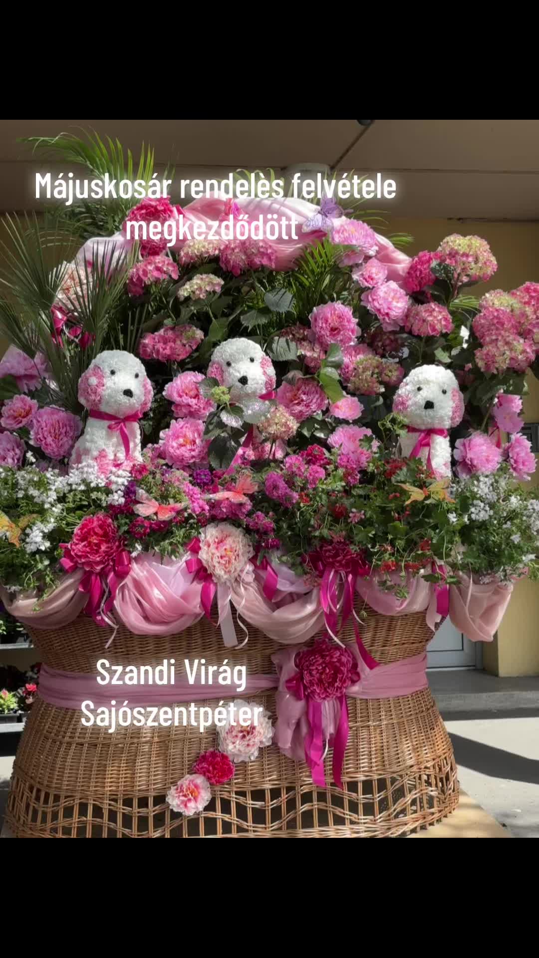 @SzandiVir&aacute;g