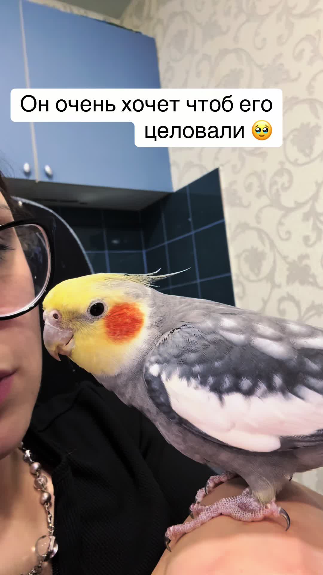 @𝓘𝓛𝓐𝓝𝓐 and Lelik