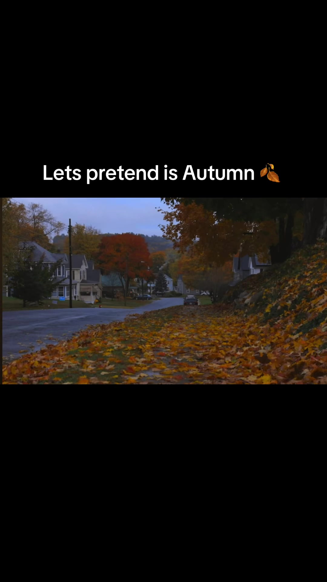 @Cosyseasonglory🍂🎃🎄