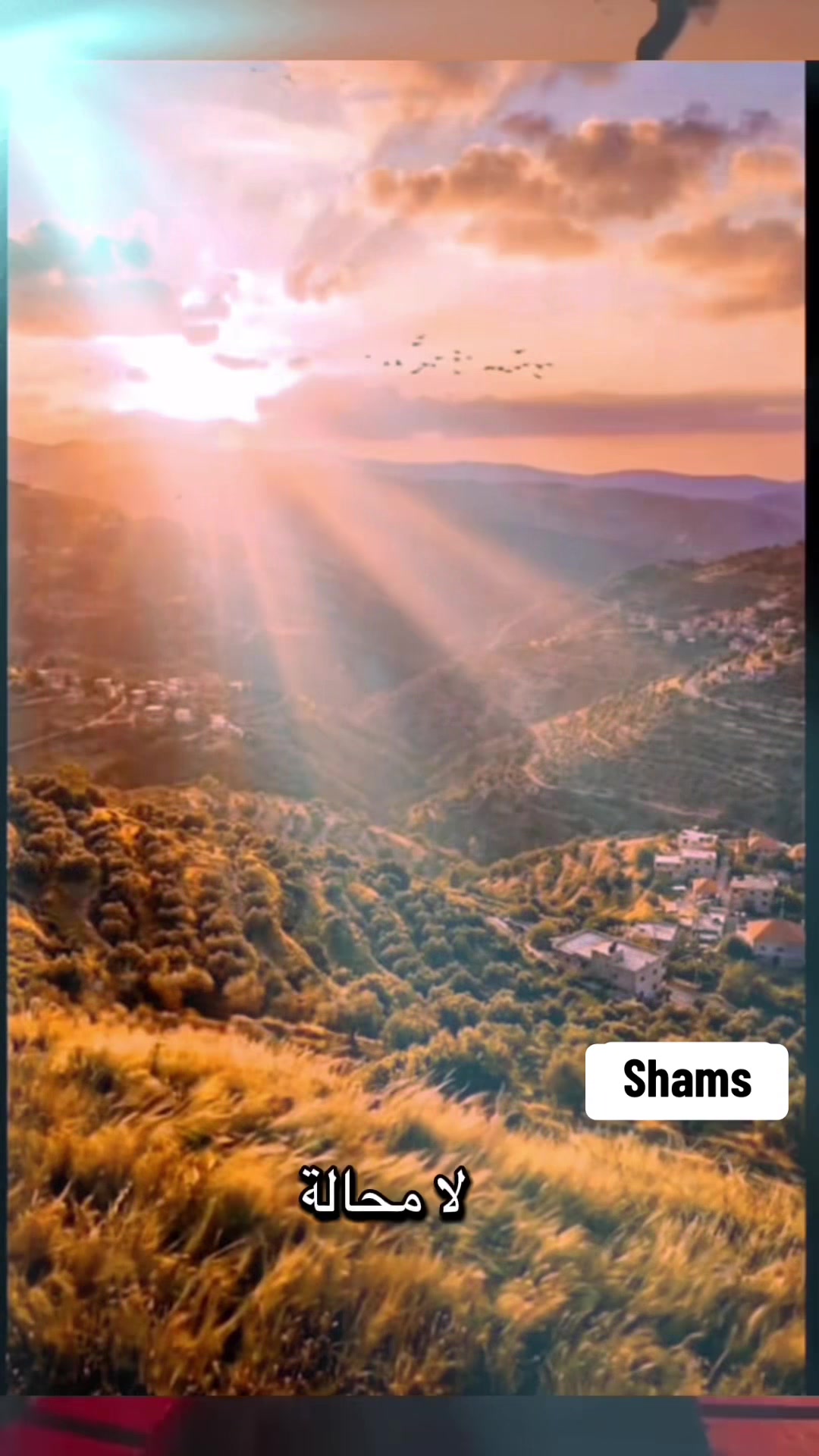 @Shams