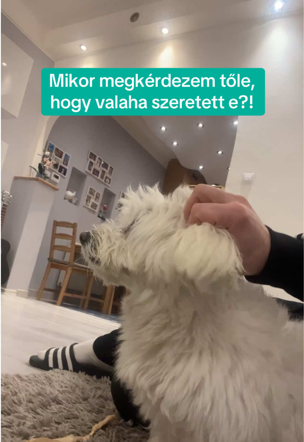 @HEKIII
