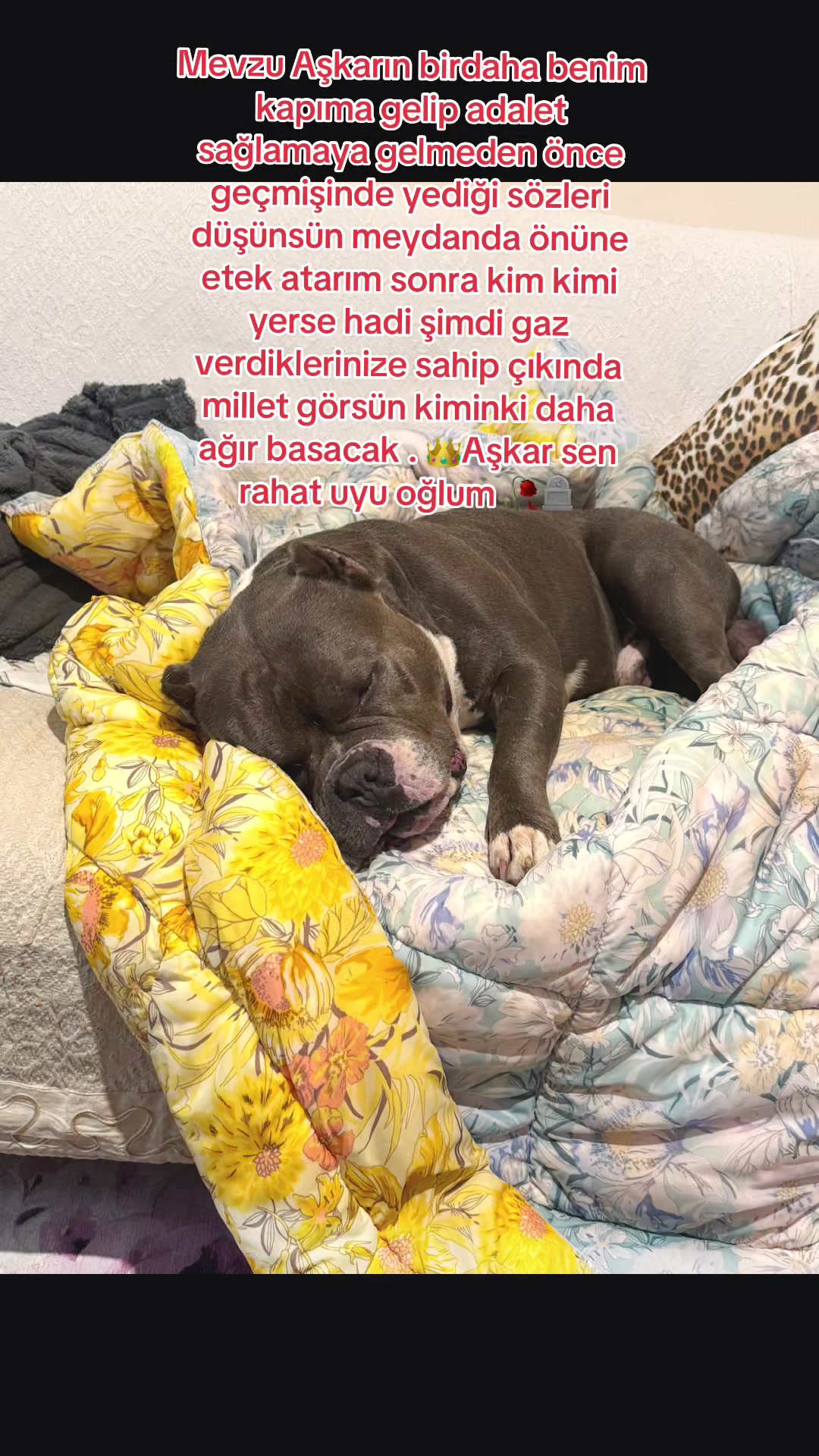 @🅰️ŞKAR🥀🪦