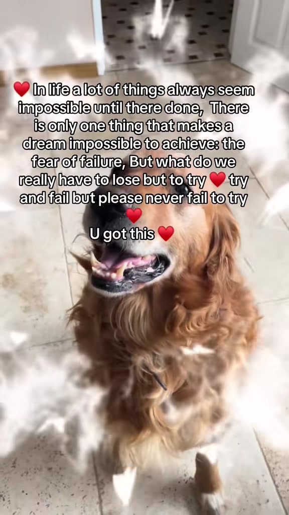 @Happy buddy