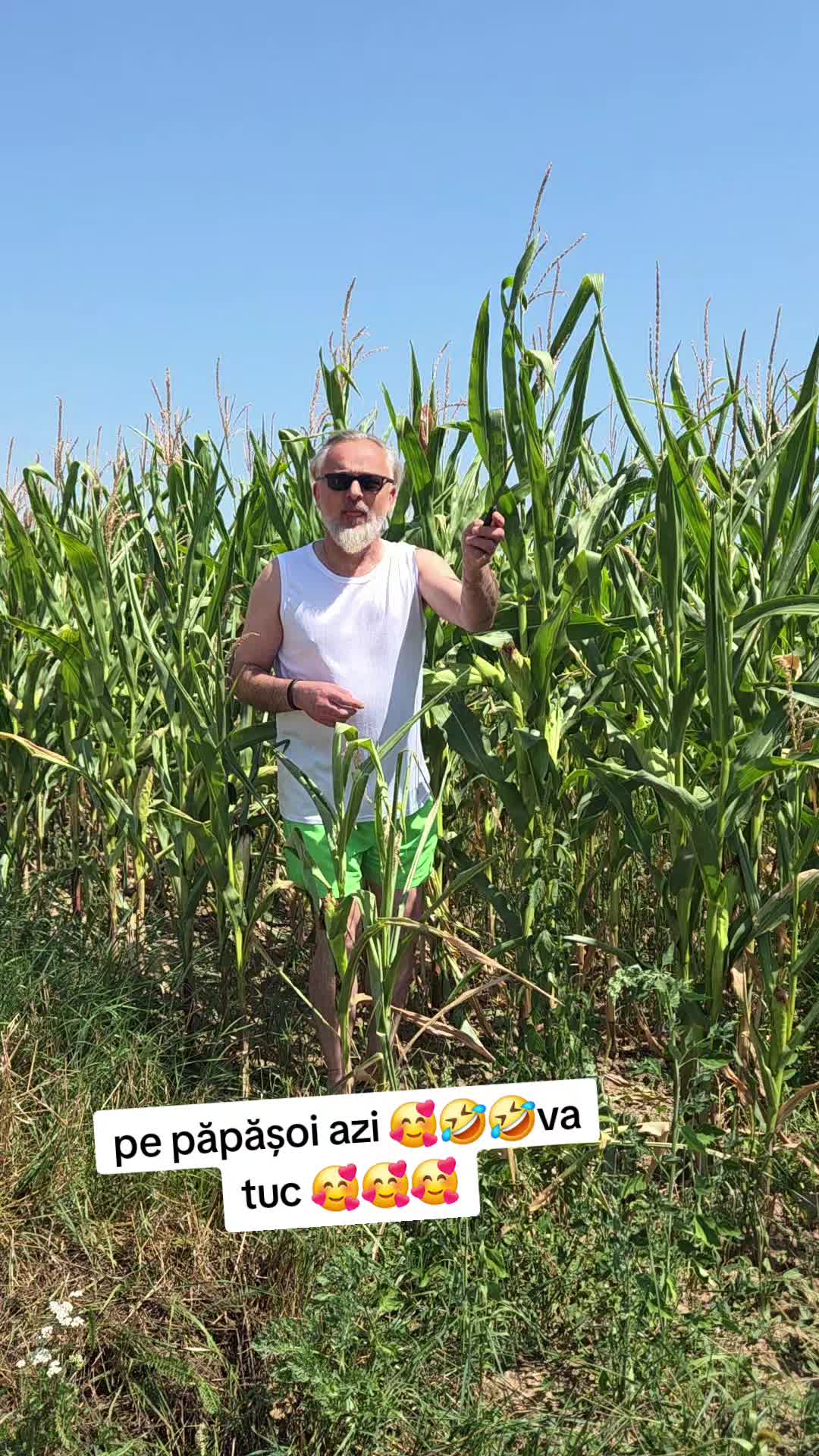 @Cristian Naşu