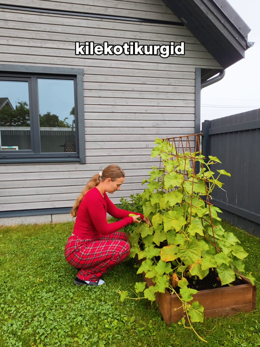 @Bärbel