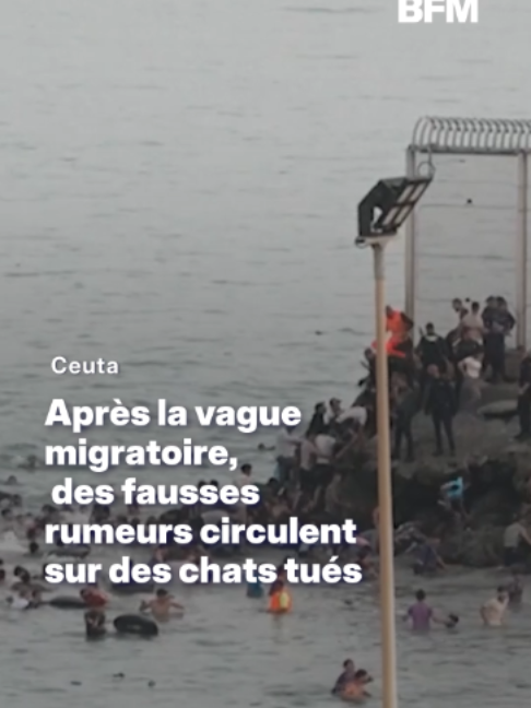 @BFMTV
