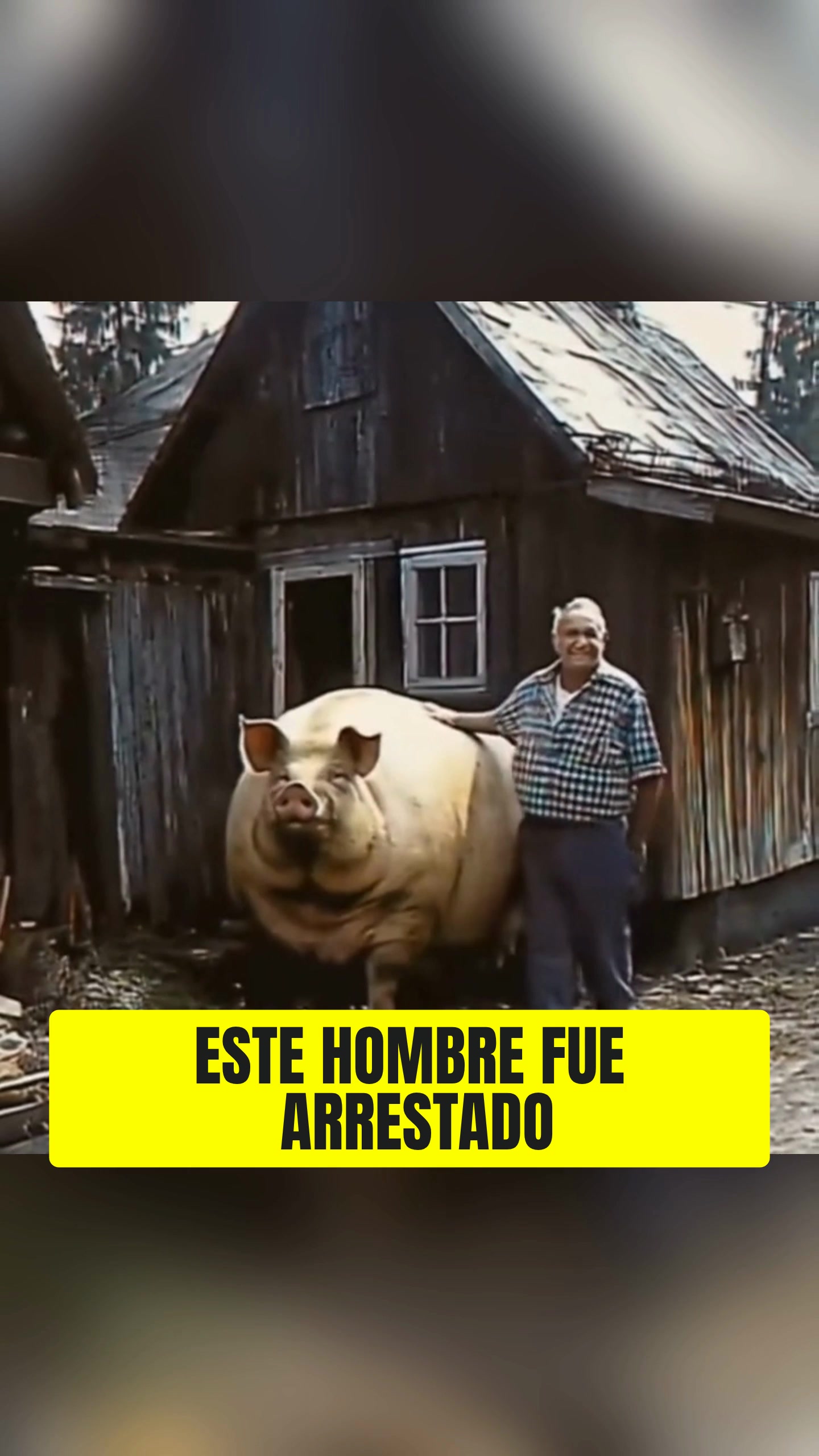@Hist&oacute;ria_real_estrangeiro