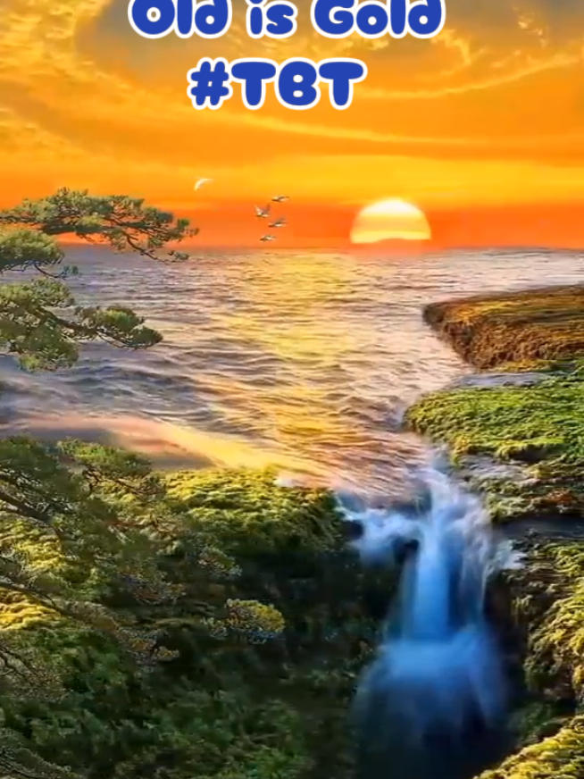 @Nasaha za Maishaᵒʳᵍ