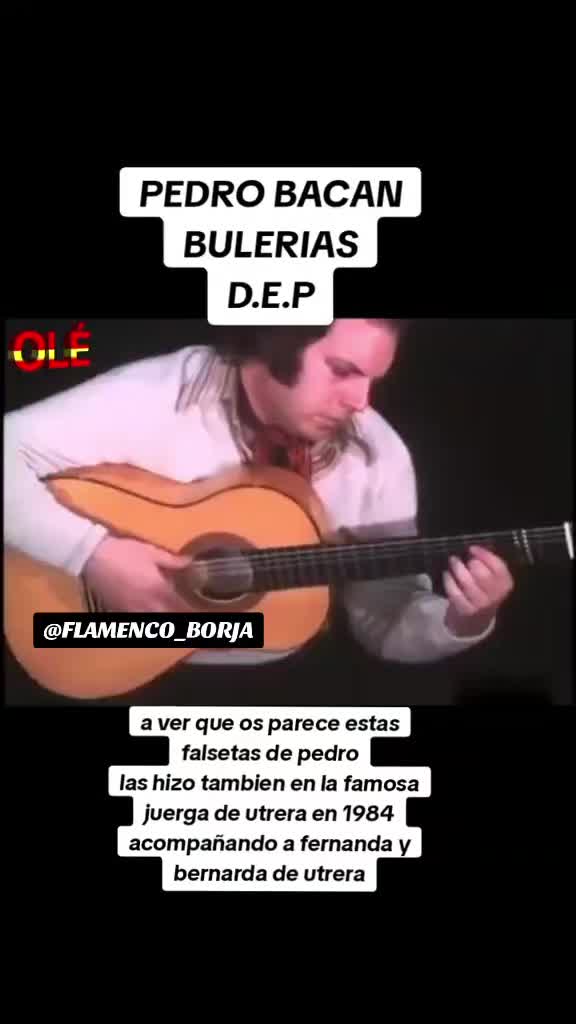 @🎸FLAMENCO-BORJA🎸